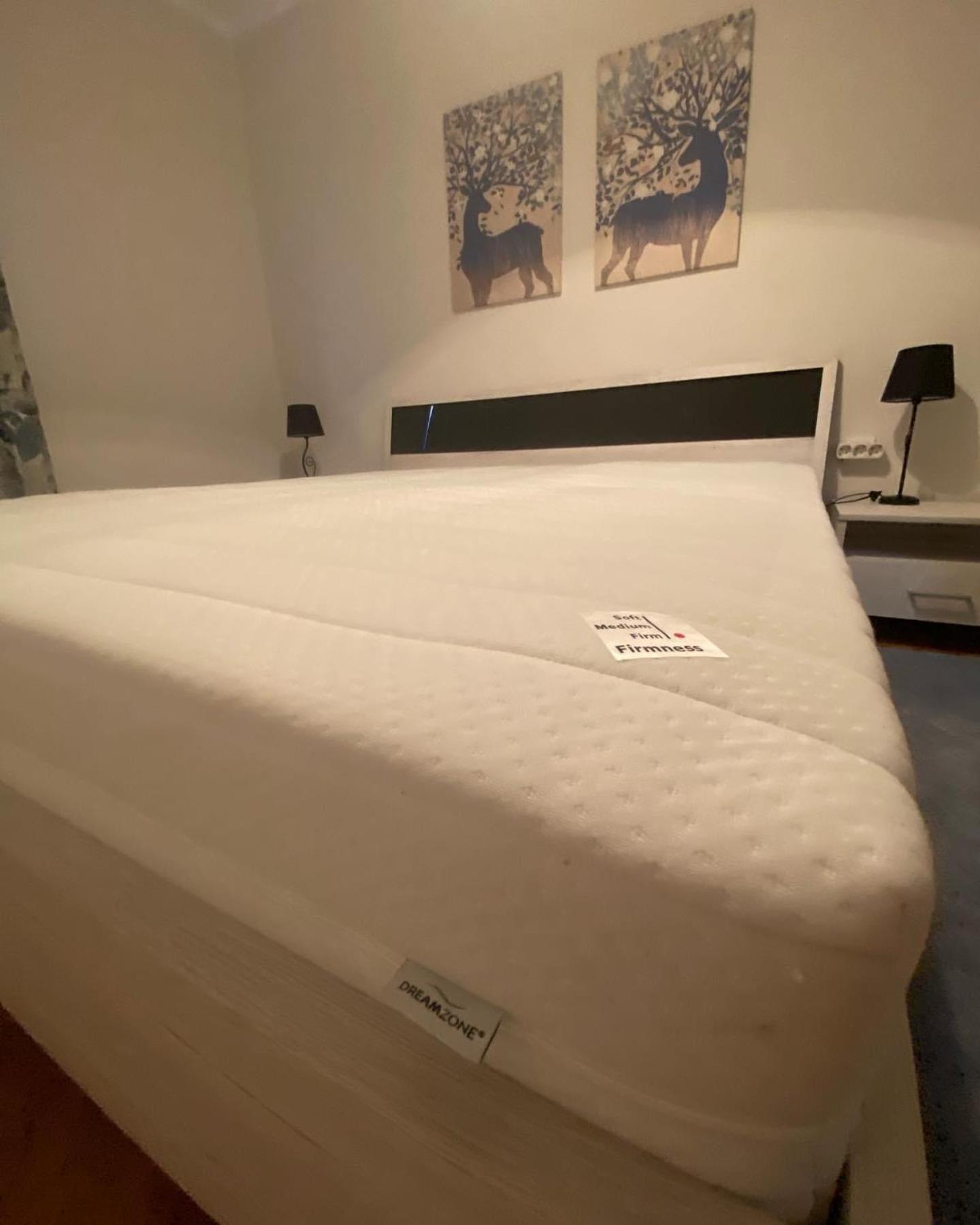Apartman Colapis- Self Check In, Free Parking, Premium Location! Karlovac Extérieur photo